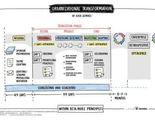 Organizational Transformation